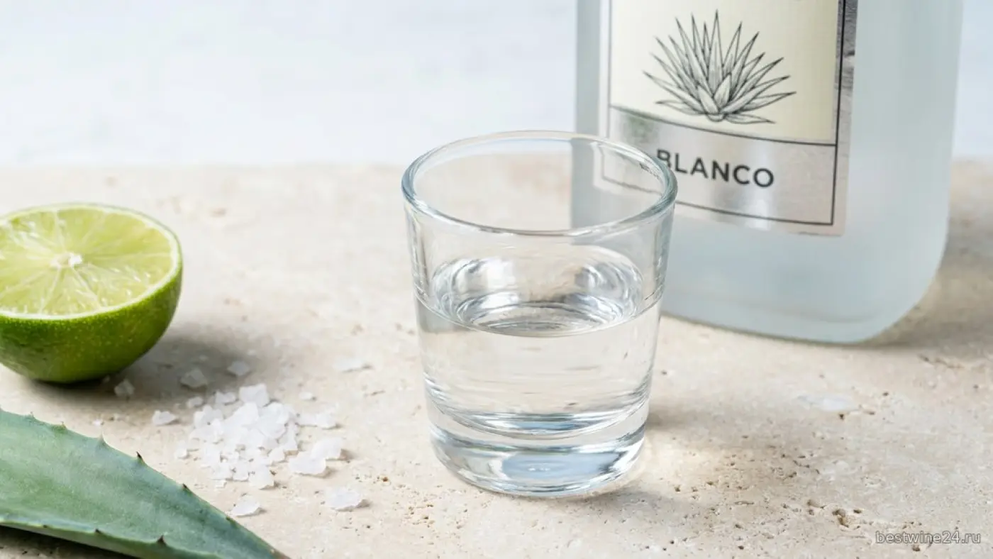 Текила blanco. Иллюстрация.