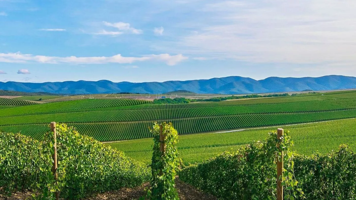 Источник: https://tourist.wine/