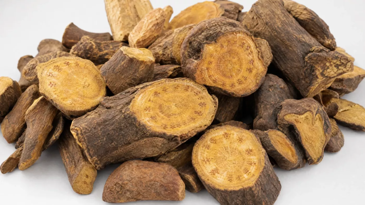 Ризомы (корневища) китайского ревеня видов Rheum palmatum / Rheum officinale.
