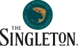 Логотип Singleton