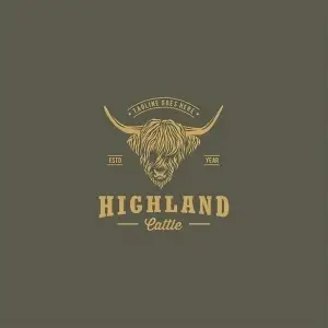 Highland Cattle