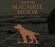 Логотип Machrie Moor