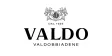 Логотип Valdo