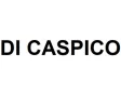 Логотип Di Caspico