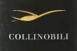 Логотип Collinobili