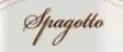 Логотип Spagotto