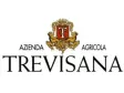 Логотип Trevisana