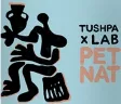 Логотип TUSHPA x Lab