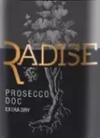 Логотип Radise