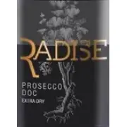 Логотип Radise