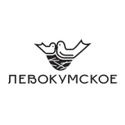 Логотип Левокумское