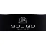 Логотип Soligo