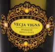 Логотип Vecja Vigna