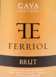 Логотип Ferriol