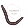 Логотип VallDolina