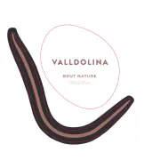 Логотип VallDolina