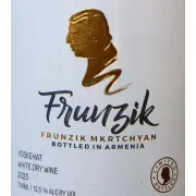 Логотип Frunzik