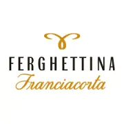 Логотип Ferghettina