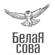 Логотип Белая Сова