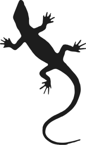 Zantho