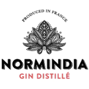 Логотип Normindia