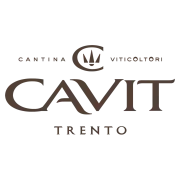 Логотип Bottega Vinai