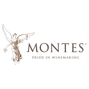 Вино Монтес Альфа (Montes Alpha)