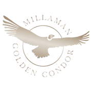 Логотип Millaman