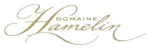 Thierry Hamelin