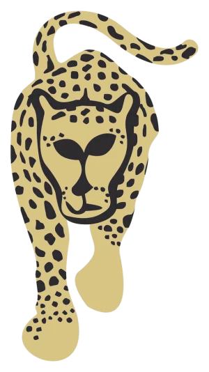 Ayama
