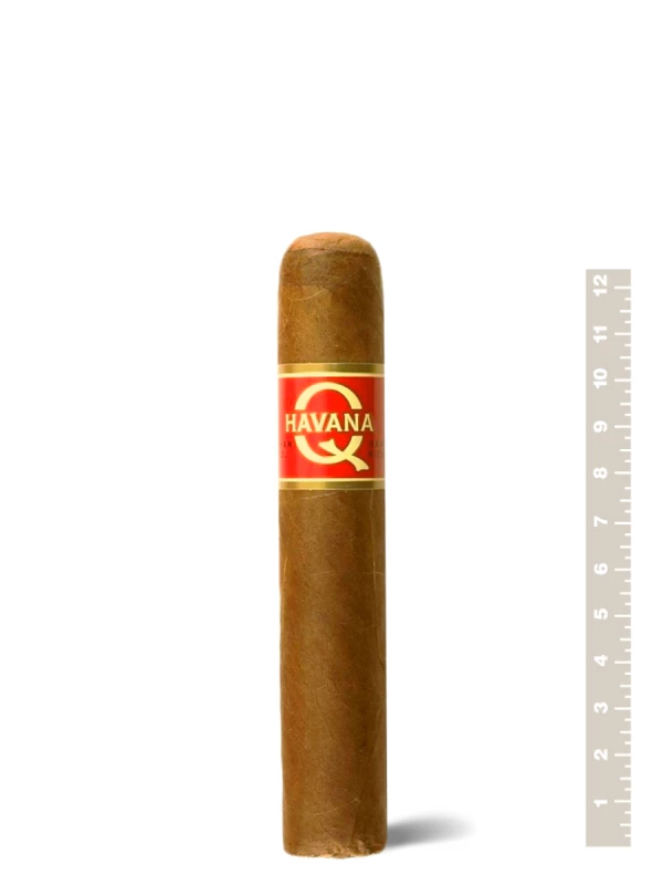 Havana Q Double Robusto