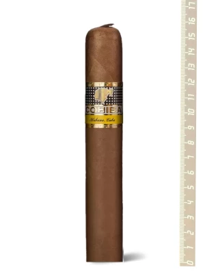 Сигары Cohiba 55 Aniversario