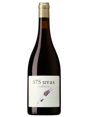 Вино Cambrico, 575 Uvas de Cambrico, Sierra de Salamanca DOP 2018, 0.75 л