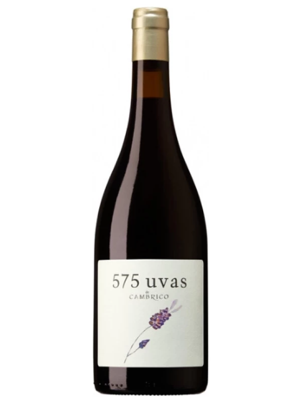 Cambrico, 575 Uvas de Cambrico, Sierra de Salamanca DOP