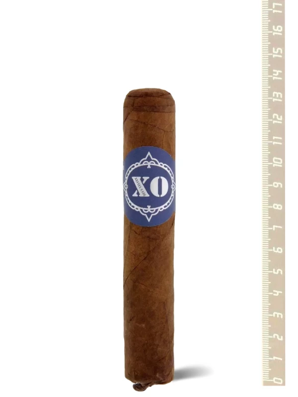 Horacio OX Blue Velvet