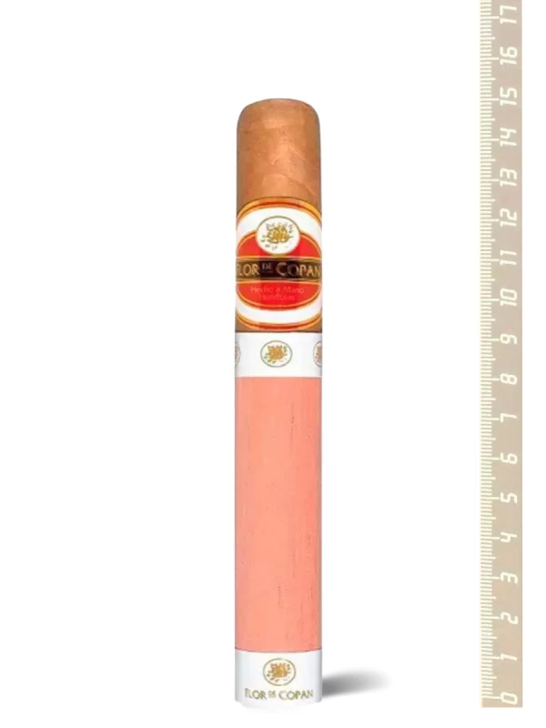 Flor de Copan Titan