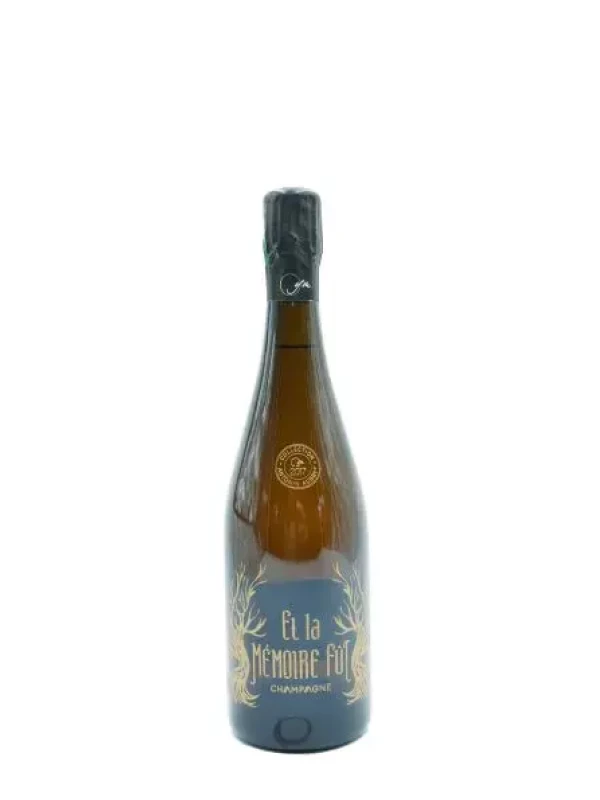 Yvon Moussy Et la Memoire Fut Brut Nature