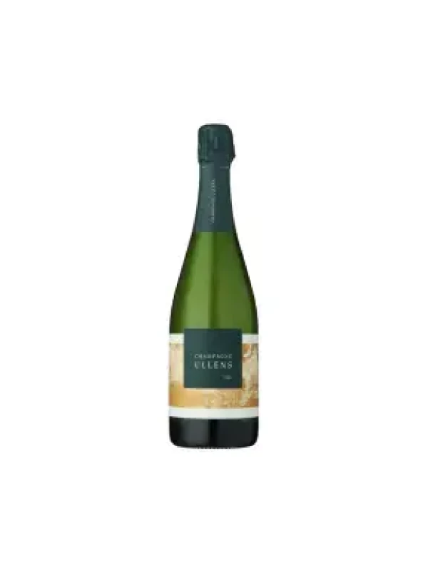 Yvon Moussy 100M Brut Nature