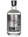 Rammstein GIN — фото 1