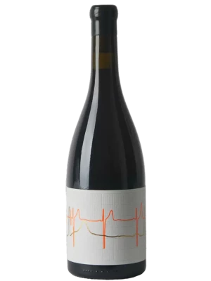 Вино Vina Zorzal Punto de Fuga Corral del Mate Tinto 2019, 0.75 л