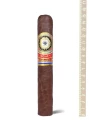 Perdomo Legacy Epicure Shade Grown — фото 1
