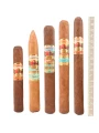 Paradiso Sampler SET 5 cigars — фото 1