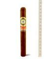 Perdomo Legacy Gran Belicoso Shade Grown — фото 1