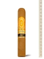 Perdomo Reserve 10 th Anniversary Champagne Magnum, Tubos — фото 1