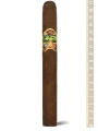 Oliva Master Blends 3 Churchill — фото 1