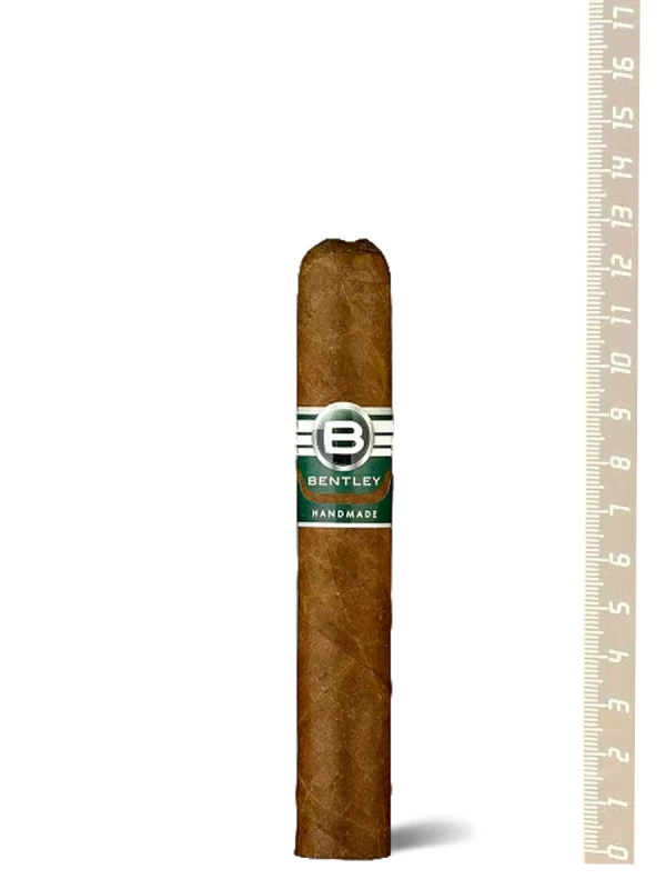Bentley Green Robusto