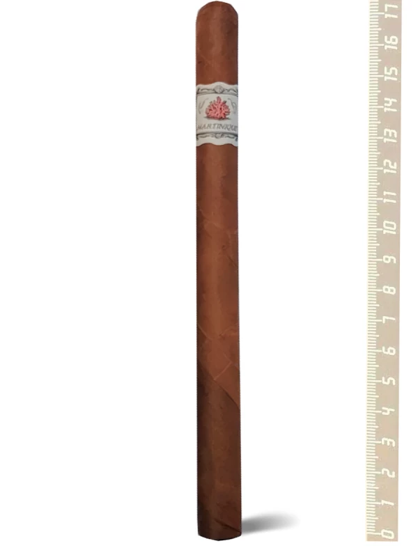 Principle Martinique Lancero