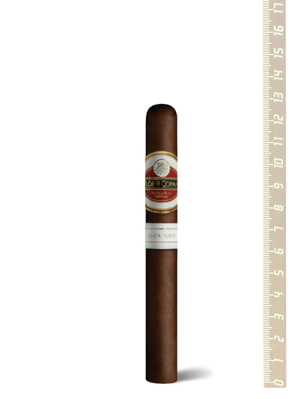 Flor de Copan Linea Puros Robusto
