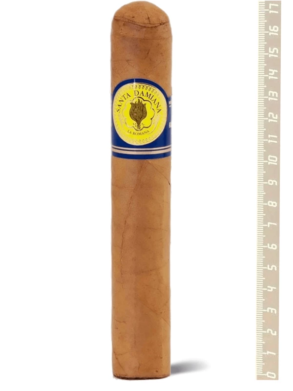 Santa Damiana Churchill