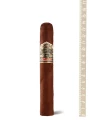 Ashton VSG Robusto Especial — фото 1